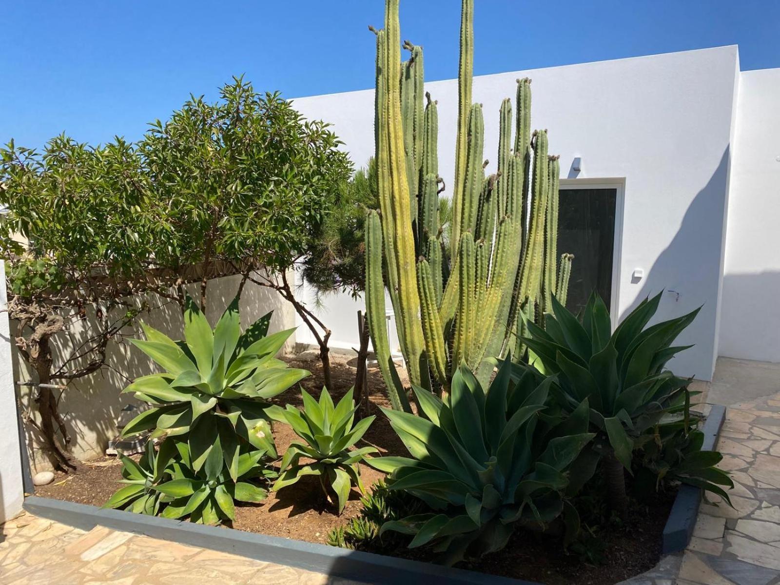 Casa La Isla Apartment Sagres Exterior foto